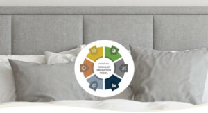 Circular innovation model for targeted and sustainable development