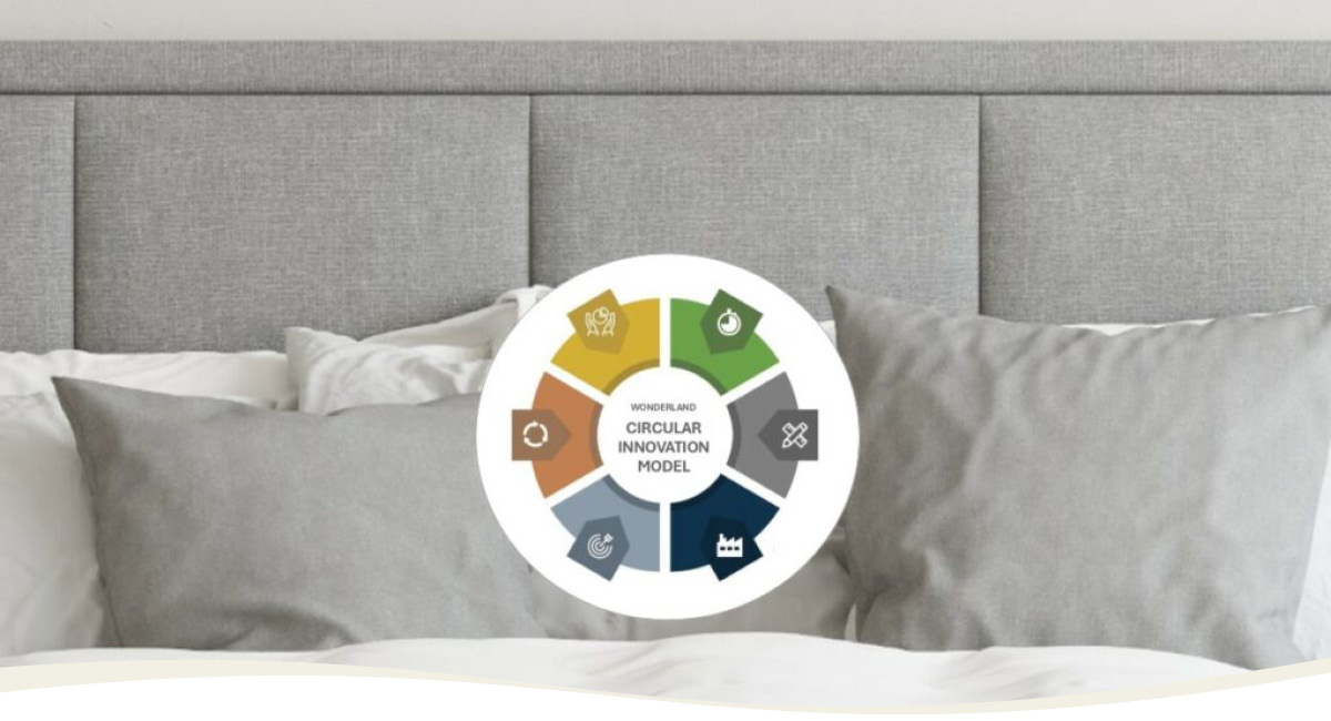 Circular innovation model for targeted and sustainable development