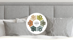 Innovation model
