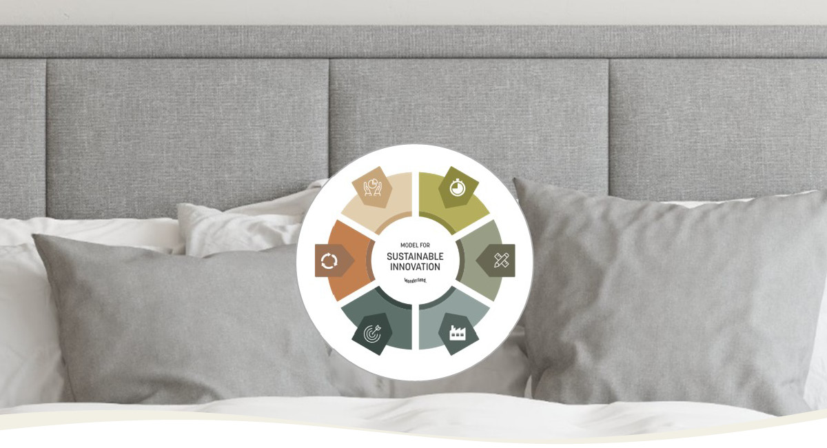 Innovation model