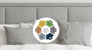 Circular innovation model for targeted and sustainable development