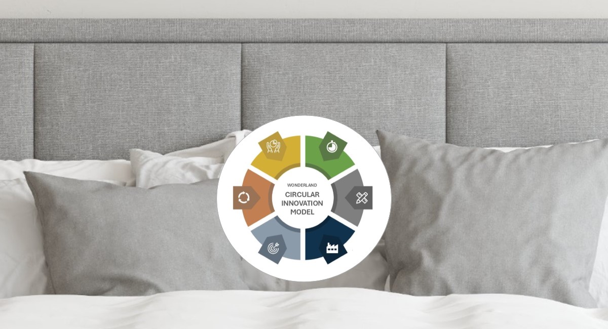 Circular innovation model for targeted and sustainable development