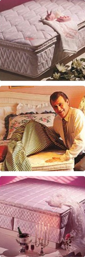 The story of Wonderland