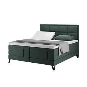 Wonderland 532 Adjustable bed